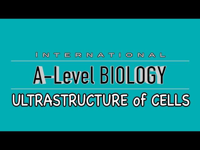 A Level Biology: Ultrastructure of cells