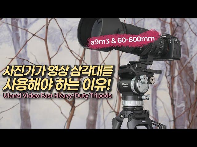 장망원 렌즈 촬영은 영상 삼각대를 쓰세요! Ulanzi VideoFast Heavy-Duty Tripods