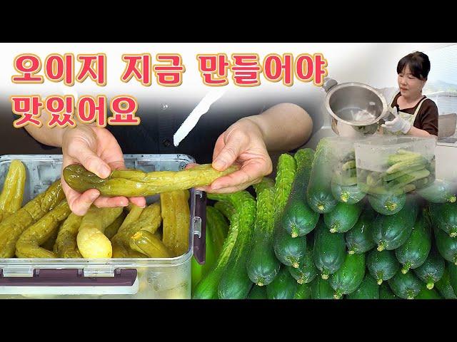  언제 오이지 만들어야 좋을까?? 지금이 그때!!