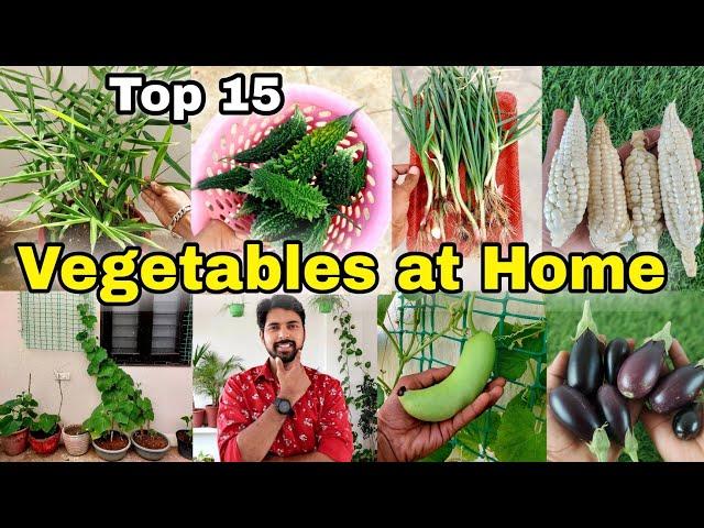 15 Easy Vegetables you can grow at Home/pot | Small space kitchen garden at home