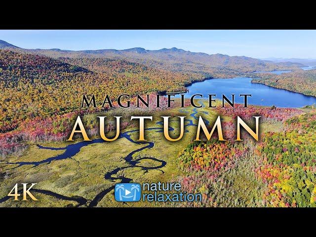 Magnificent Autumn - 2HR 4K Drone Film from America's NE + Piano Music