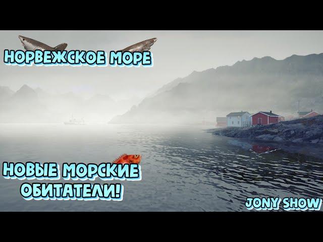 РР4 • Норвежское море • Трофеи и новые морские обитатели .