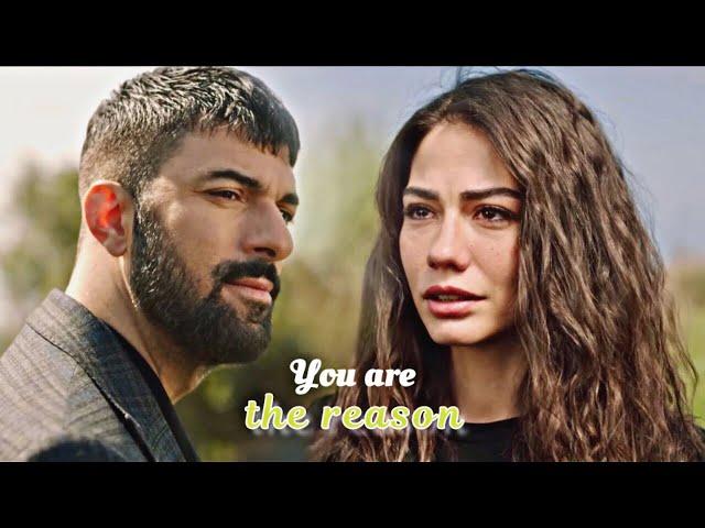 Farah & Tahir • You Are The Reason [ Adım Farah ]