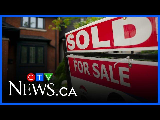 ‘We are going to get lower rates,’ Real estate expert on tariffs and the market