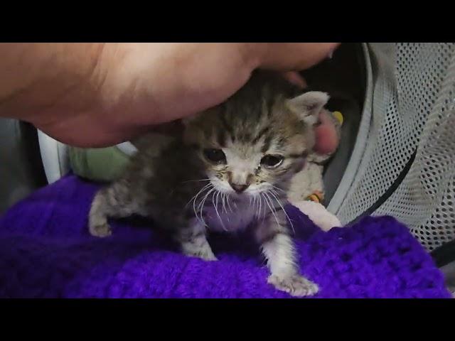 Visiting Teddy - he was very happy today