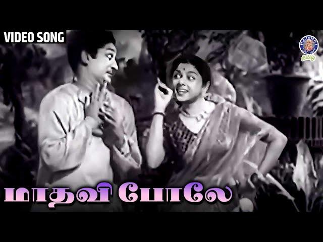 Medhavi Pole | Video Song | Kalyanam Panniyum Brahmachari |Sivaji Ganeshan | Badmini | Rajshri Tamil