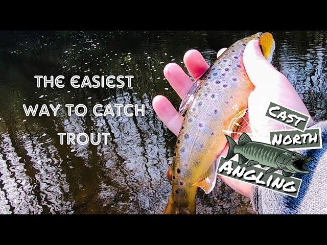 The easiest way to catch Brown Trout