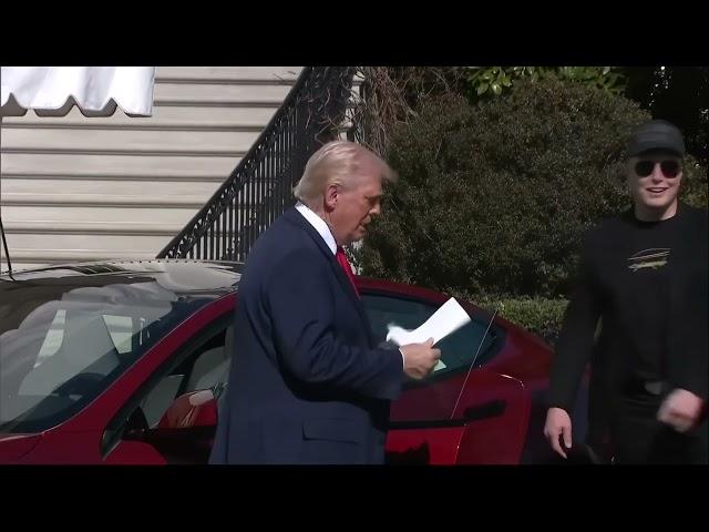 Auto Trump