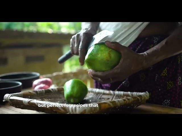 From Farm to Fruit: The Journey of Papayas on My Land