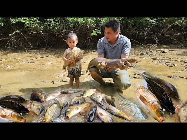 Harvesting a lot of big fish goes to the market sell/XuanTruong