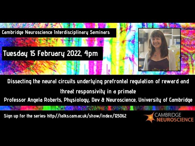 Angela Roberts - Dissecting the neural circuits underlying prefrontal regulation of reward & threat