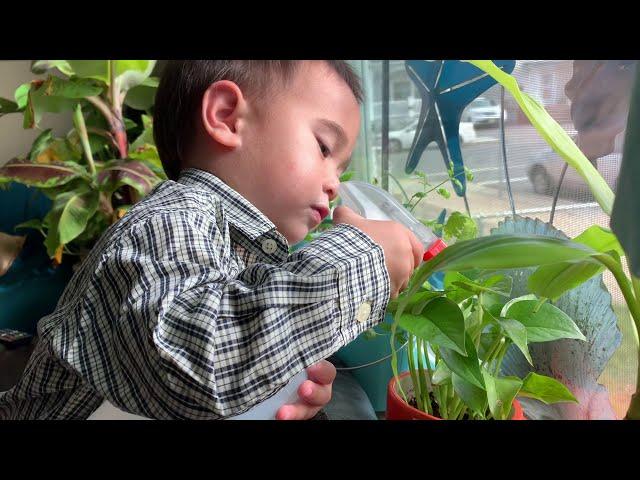 Our 2 year old Plant Baby Loves Watering our Plants