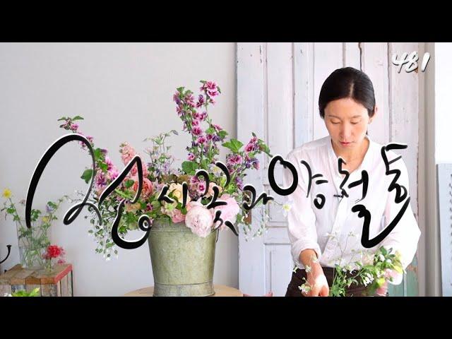 #플라워레슨 481 #접시꽃 과 낡은#양철통 #꽃꽂이 #Flowerlesson 481 #vintage#Tinbucket#flowerarrangement