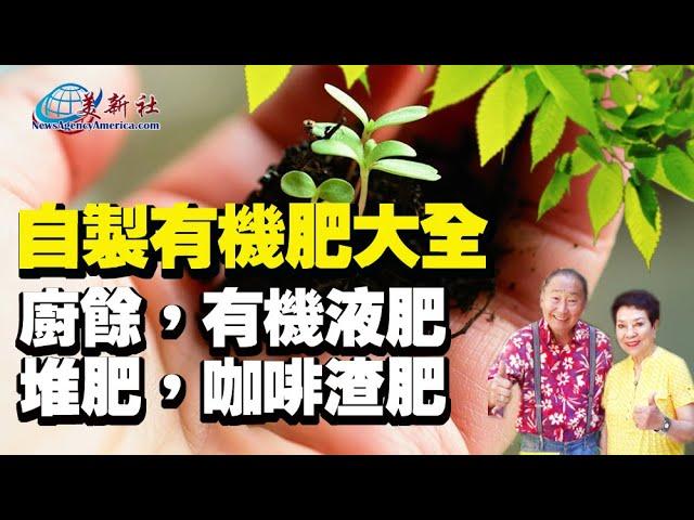 自製有機肥大全，廚餘，有機液肥，堆肥，咖啡渣有機肥。【園藝達人】有機肥製作合集