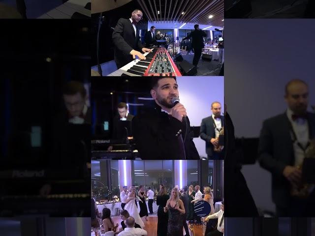 Blue Suede Shoes | Live Wedding Performance | Entropy Entertainment | Westin TwentyTwo | Canada