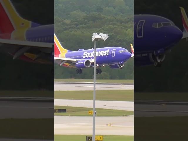 Southwest 737 Landing #b737  #aviation #planes #rdu #airplane #planelanding #southwestairlines