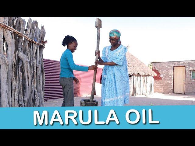 HOW TO MAKE MARULA OIL (Ondjove) OWAMBOLAND NAMIBIA - village life in Namibia - Lempies