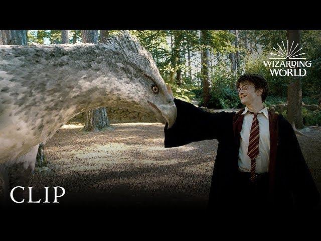 Meet Buckbeak | Harry Potter and the Prisoner of the Azkaban