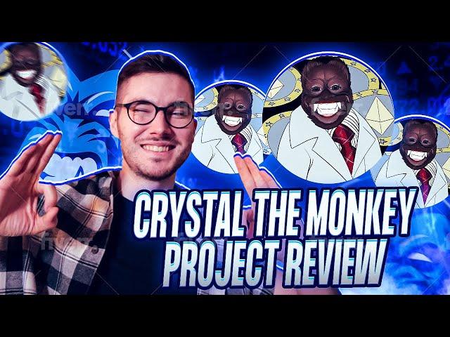 Meme Coins Are Not Dead Yet? Monkey In Crypto?! - Crystal The Monkey Review