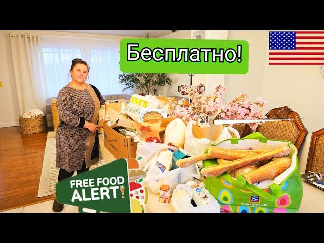 США , И ЭТО ВСЁ БЕСПЛАТНО !!!
