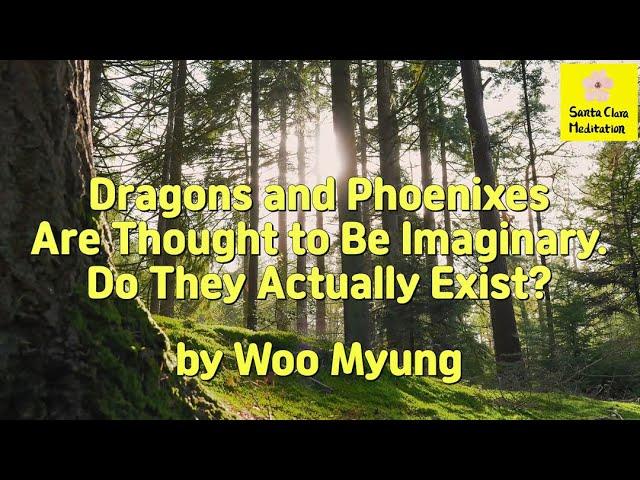 Master Woo Myung - Q&A - Dragons and Phoenixes Are Thought to Be Imaginary. Do They Actually Exist?