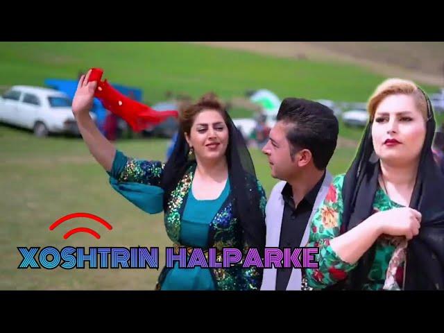 هلپرکی ونوروز کوردی گلیان شاد فول هلپرکی فرشاد امینی  | best kurdish dance