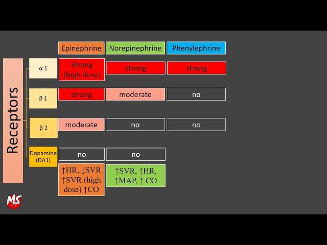 Vasopressor and Inotropes - Made Easy