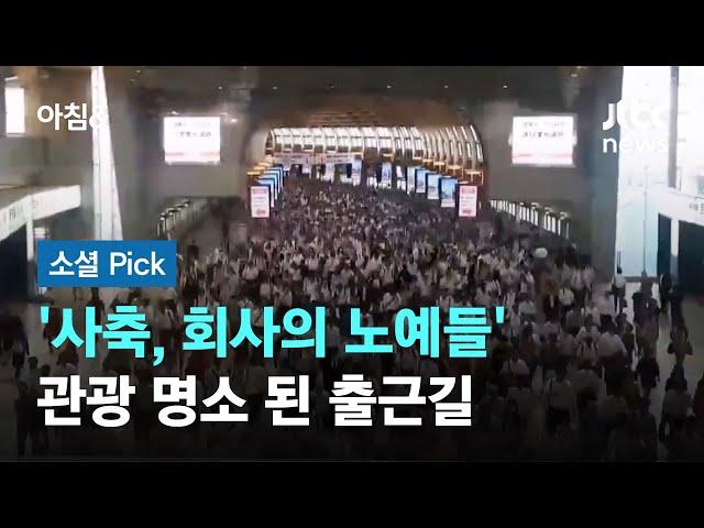 "압도적 경치"…일본 직장인 출근길 '관광 명소' 된 이유 #소셜픽 / JTBC 아침&