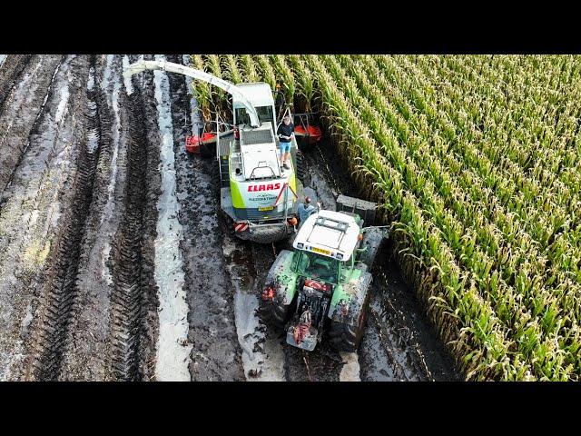 Mais 2023 - EXTREME MUD with Claas Jaguar 900 | Pleizier & Timmer