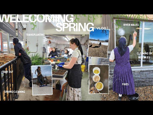 eventful to the very end | spring on a Hutterite colony