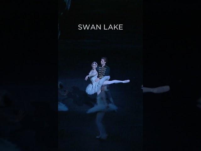 Swan Lake - The Royal Ballet #royaloperahouse #ballet #shorts #swanlake