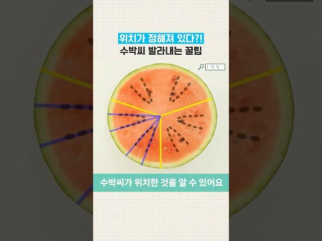 수박씨, 한 번에 싹! 발라내는 여름 꿀팁 끝판왕