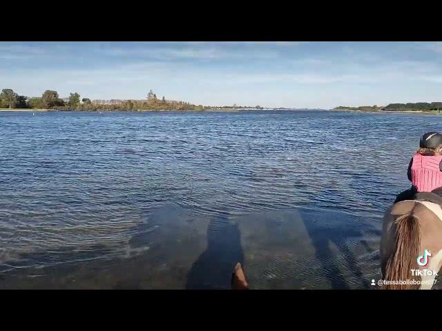 Buitenrit Paardenrijk Gopro