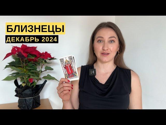 БЛИЗНЕЦЫ • ДЕКАБРЬ 2024 • Таро Прогноз от Diva V.S / Виктория Штелльхорн