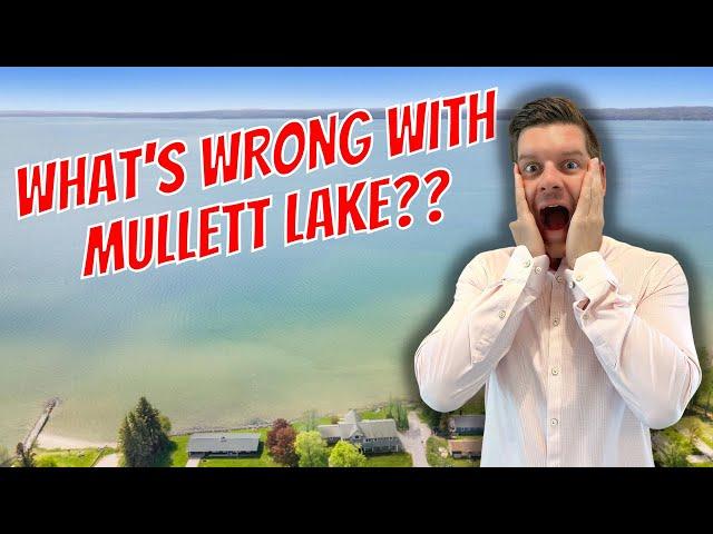 WATCH THIS Before Buying on Mullett Lake