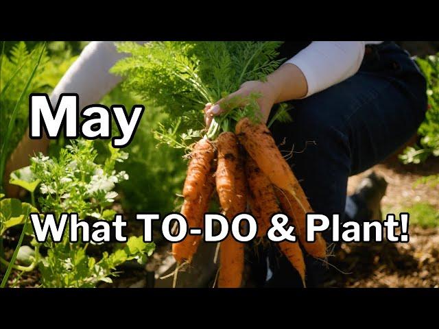 ARIZONA GARDEN in MAY: GARDEN TOUR plus What TO DO & PLANT