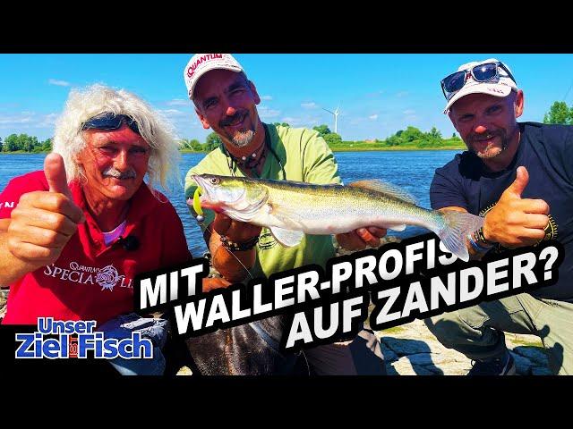 STEFAN SEUß fängt ALLES! Die WALLERJUNGS zu BESUCH bei UNSER ZIEL IST FISCH