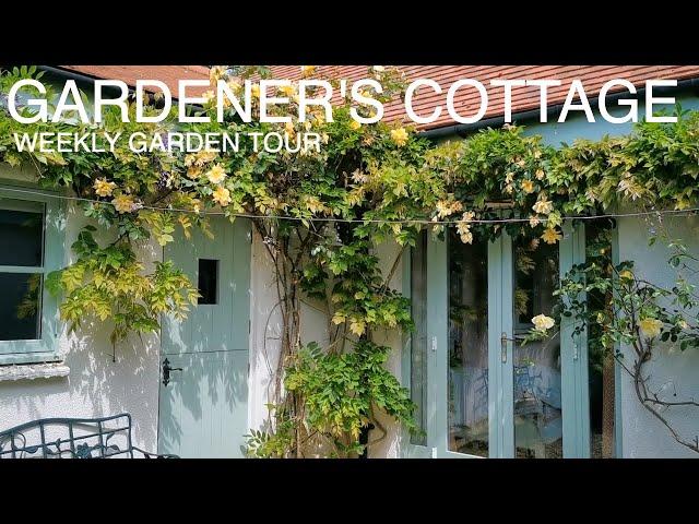 Cottage Garden Tour In May-Gardeners Cottage Blakeney #cottagegarden #gardeningvideos #gardentour