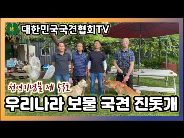 천연기념물 제 53호, 우리나라 보물 국견 진돗개 | 대한민국국견협회TV