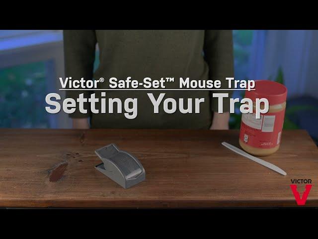 How to Use the Victor® Safe-Set™ Mouse Trap