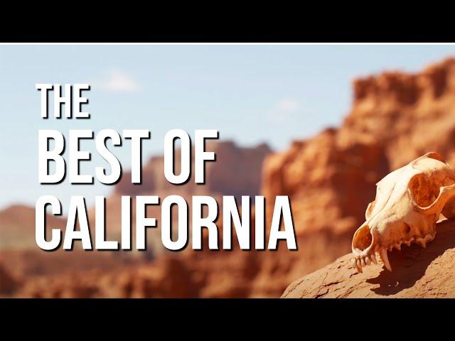 Best of California National Parks 2020