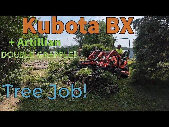 Kubota BX - DOUBLE GRAPPLE - Tree Removal!!