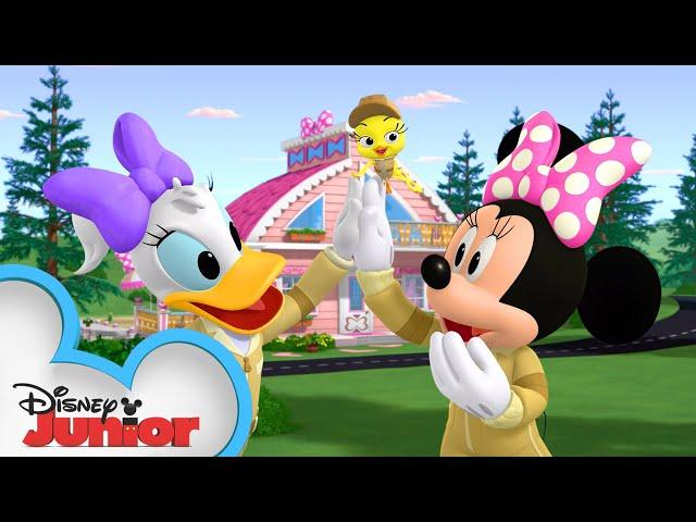 Minnie’s Dream Home  | Mickey Mornings | Mickey Mouse Mixed-Up Adventures | @disneyjr