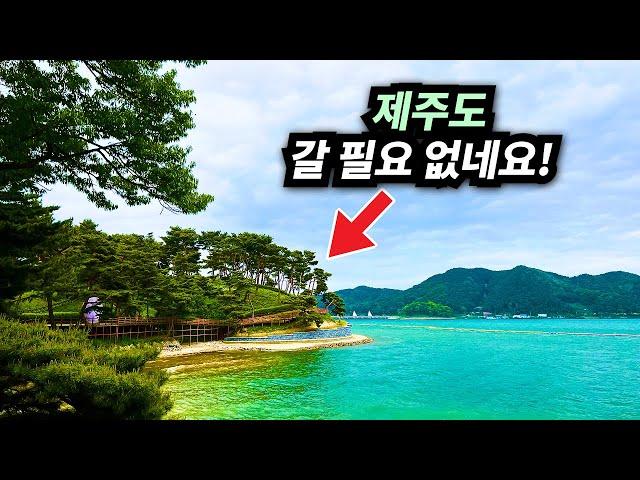 9만뷰  계단 1개도 없는 호수데크길! 한국의 '바이칼호!' 우리나라에도 이렇게 넓은 호수가 있었나요?? |  대중교통 당일치기 트레킹 여행 코스 추천