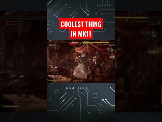 COOLEST THING IN MORTAL KOMBAT 11 | QUITALITY