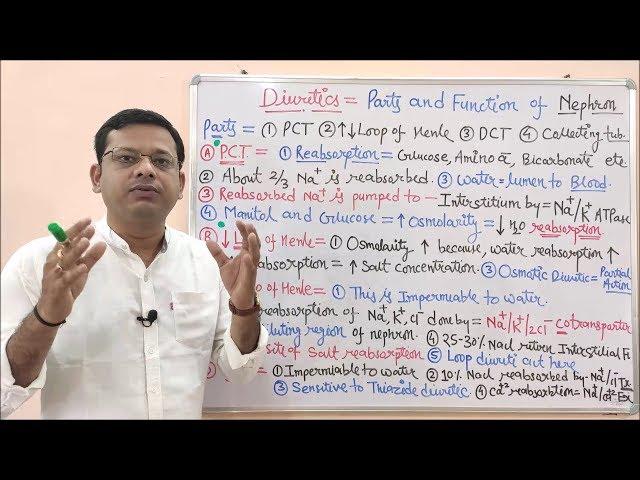 Diuretic (Part 02)= Parts and Functions of Nephron | Urine Formation Steps | Diuretics Pharmacology