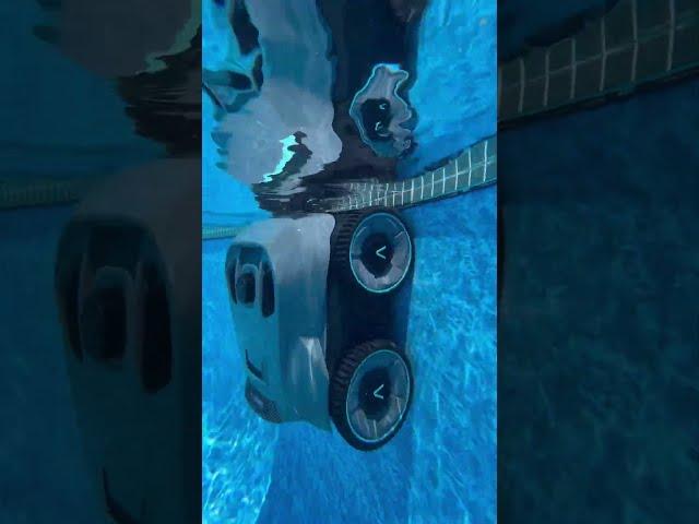 Pool Bliss ‍️ | Aiper Seagull Pro Review: Cordless & Effortless Pool Cleaning!