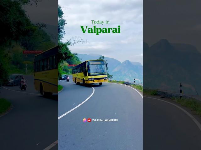 Today in Valparai…Clear skies. Bright green hills. But no rain. Just peace. 