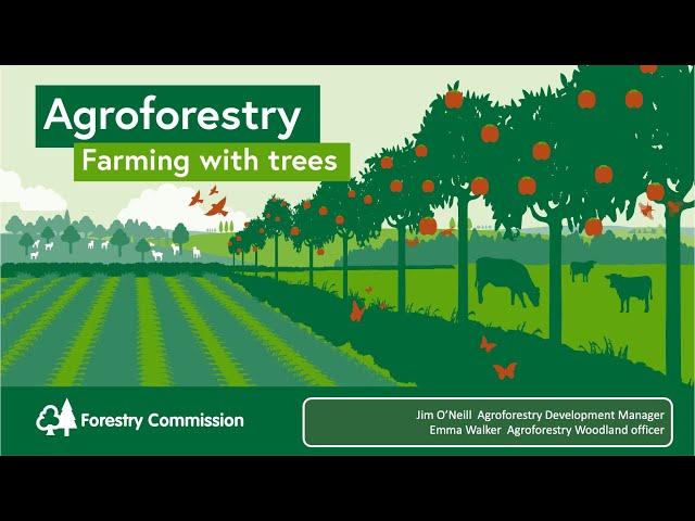 Agroforestry- Farming With Trees