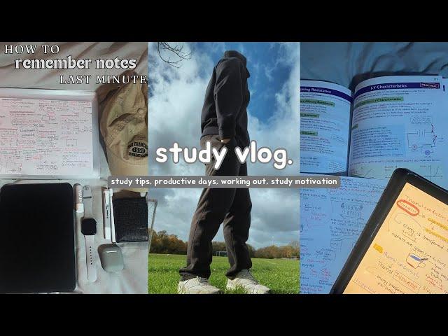 study vlog ️ study tips, productive days, working out, study motivation